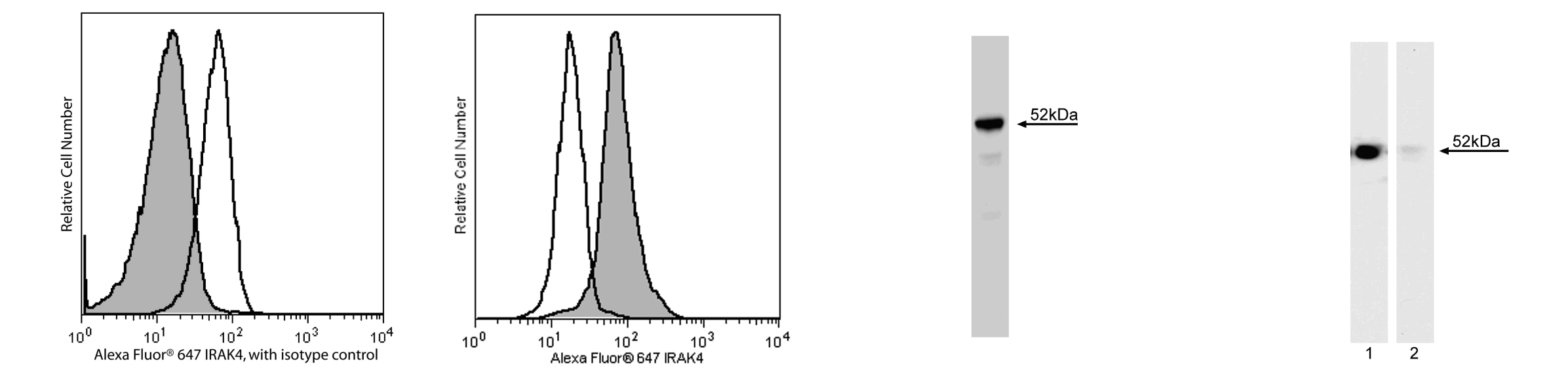 560315Image1.png